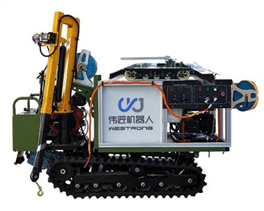 WJ2500 Robot Vehicle Transport